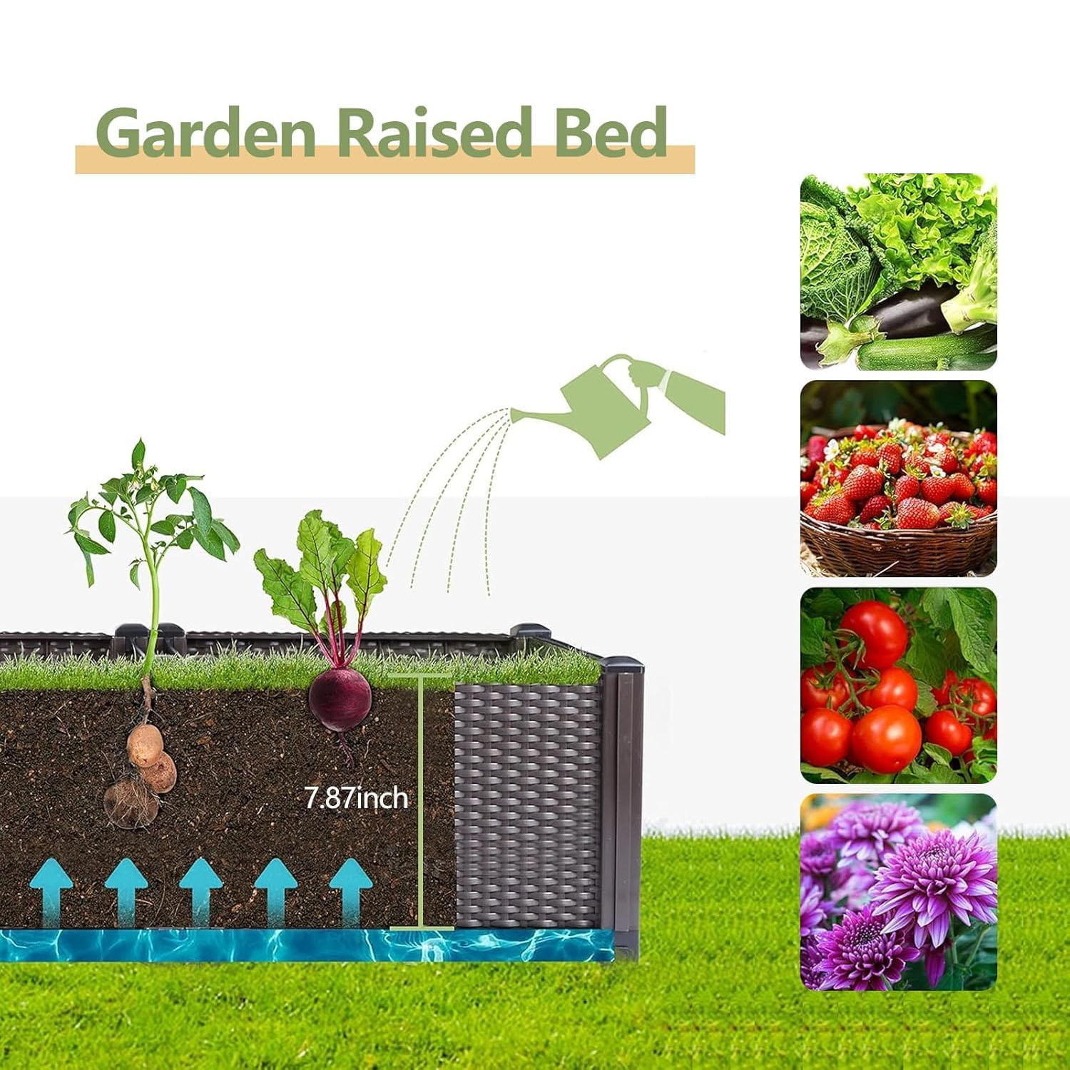 Zelfwaterende verhoogde moestu - Outdoor Daybed Furniture recensie en prijs